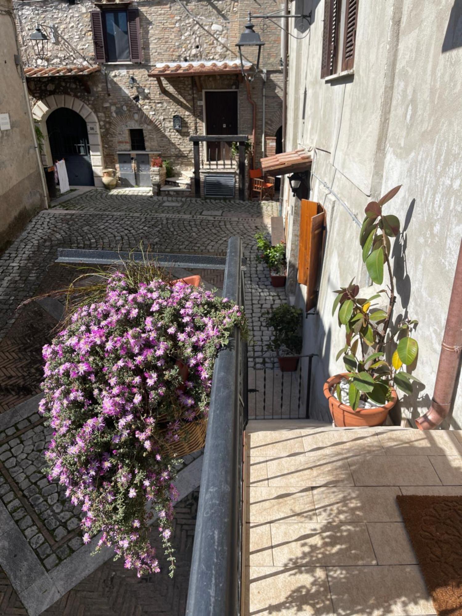 Il Borghetto Διαμέρισμα Mentana Εξωτερικό φωτογραφία